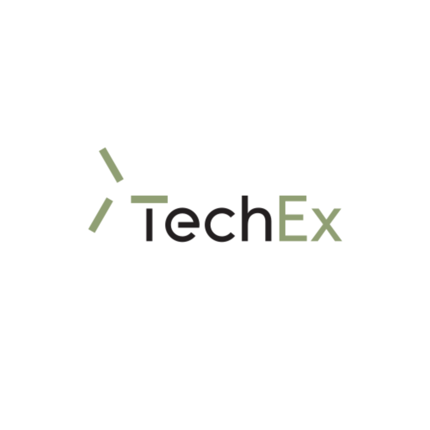 TechEx LLC